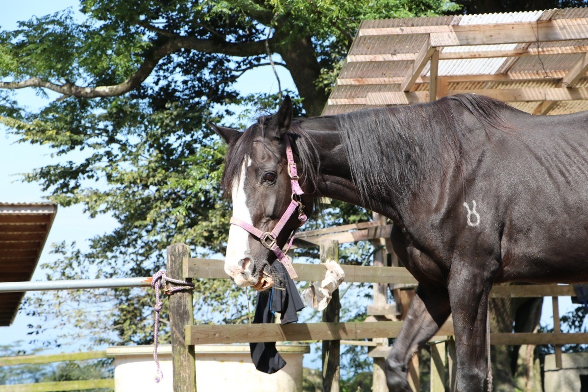 0ea66583b0c0cc2c1cac85401187ac78-1761812320.jpg 0ea66583b0c0cc2c1cac85401187ac78-1761812320.jpg